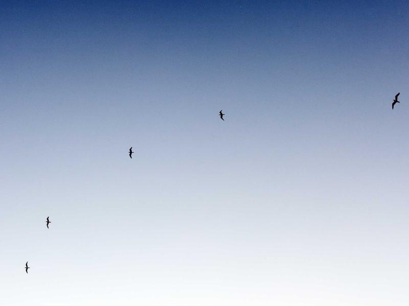 配置描述文件限制<br>移除限制正常退ID指南